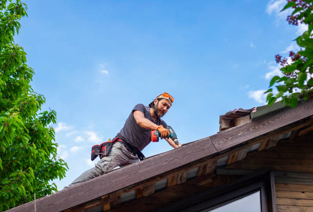 Best Roof Leak Repair  in Buffalo, WY